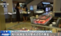 网红洗钱新闻爆料案例,一场网络狂欢背后的金融陷阱
