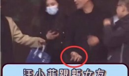 新爆料汪小菲视频大全集,揭秘豪门生活点滴
