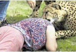 大爆料猎豹老婆图片视频,真相令人震惊！