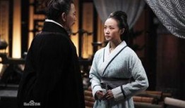 赵氏孤儿案电视剧在线观看,悲壮历史与家国情怀的交织