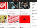 民间爆料视频大全网站,视频大全网站背后的真实故事