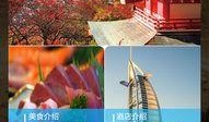 爆料旅游跟团视频大全下载,视频大全下载背后的真实故事