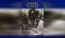 乌俄冲突爆料视频完整版,完整版爆料视频深度解析