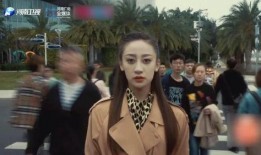 河南疯狂的后在线观看,揭秘网络爆红背后的故事