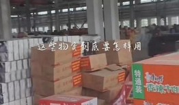 涿州洪水最新爆料信息网,实时追踪，揭秘洪水真相