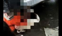 爆料博主出车祸了吗视频,生死未卜引网友关注