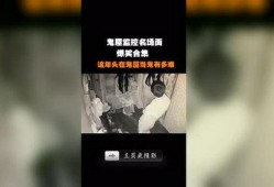 爆料屋最新视频,独家爆料，真相大白！