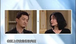 杨澜爆料王菲完整视频,王菲完整视频幕后故事