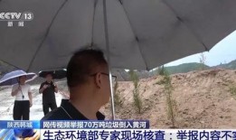 山鸡爆料姑娘被打视频,姑娘被打事件视频曝光，真相令人震惊