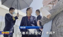 西安村长爆料视频曝光,揭秘乡村发展背后故事
