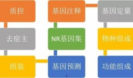 广东今日关注爆料流程图,一图览尽信息传播奥秘