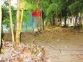 竹林小区新闻爆料,业主爆料惊人真相！