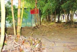 竹林小区新闻爆料,业主爆料惊人真相！