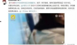 学生食堂事件爆料视频,食品安全问题引发关注