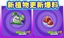 玄灵爆料完整视频在线观看,揭秘神秘视频完整内容，带你领略未知世界