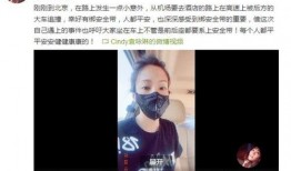 西安村长爆料视频曝光,揭秘乡村发展背后故事