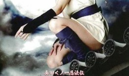 真田女法忍法在线观看,在线观看，揭秘忍者世界中的女性传奇