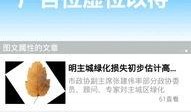 新闻爆料手机问题有哪些,常见故障与解决方案盘点