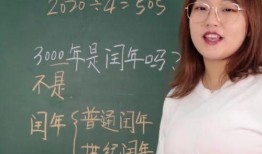 闰年在线观看,穿越时空的浪漫冒险之旅