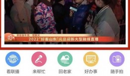柬埔寨阿勇爆料视频播放,揭秘真实事件背后的真相