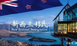 新西兰新闻爆料网,重大事件背后惊人真相！