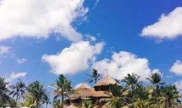 印尼巴厘岛爆料者视频,真实旅游背后的惊人内幕