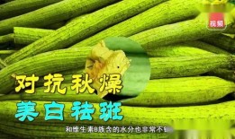 恋恋吃瓜免费,揭秘娱乐圈背后的甜蜜与苦涩
