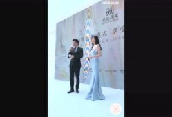 靳东新剧爆料视频大全播放,精彩剧情抢先看