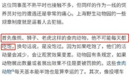 广州爆料事件视频播放时间,揭秘事件背后，播放时长揭示真相