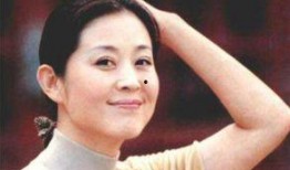 倪萍爆料停车视频大全,视频大全揭秘幕后真相