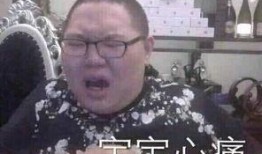 小孩哥爆料视频大全,揭秘童言无忌中的趣味瞬间