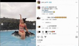 粉丝爆料冰岛事件视频,揭秘神秘事件背后的真相