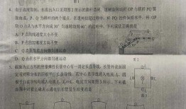 新真骨雕爆料视频大全图片,视频大全图片解析，带你领略艺术魅力