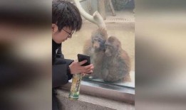 猴哥爆料完整视频在线观看,完整视频在线观看，揭秘幕后真相！