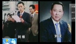天涯爆料刘汉 刘维视频,天涯爆料视频背后的惊人内幕