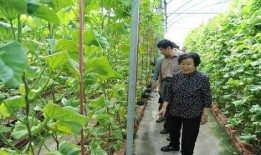 网红吃瓜王大炮是真的吗,真实身份与传闻真相