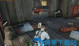 吃鸡衣服新爆料视频下载,时尚与实战并存，揭秘神秘战服细节