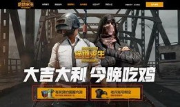吃鸡衣服新爆料视频下载,时尚与实战并存，揭秘神秘战服细节
