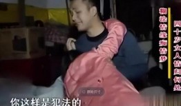 河南疯狂的后在线观看,揭秘网络爆红背后的故事