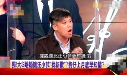 新爆料汪小菲视频大全集,揭秘豪门生活点滴