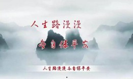 汪伦麦蔻爆料了吗视频播放,揭秘背后真相