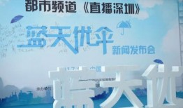 都市爆料深圳新闻直播,都市爆料，聚焦城市热点动态