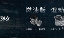 漂泊二代官方爆料视频,官方爆料视频深度解析