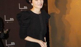 杨澜爆料王菲完整视频,王菲完整视频幕后故事