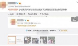 网红爆料出轨视频播放网站,揭秘热门播放网站背后的秘密
